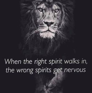 Meet your Posher, Marcel